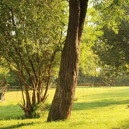 Gutshof Dubnitz Gutshof Dubnitz -ferienwohnung 2  Lilli Sassnitz