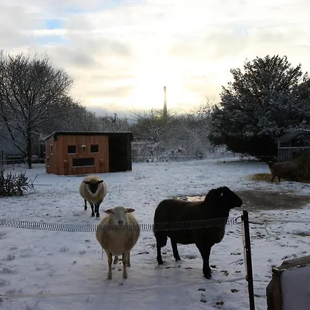 Gutshof Dubnitz Gutshof Dubnitz -ferienwohnung 2  Lilli Apartment